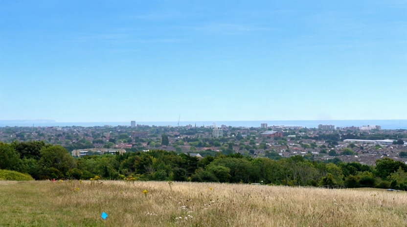 Picture of the Downs in Worthing